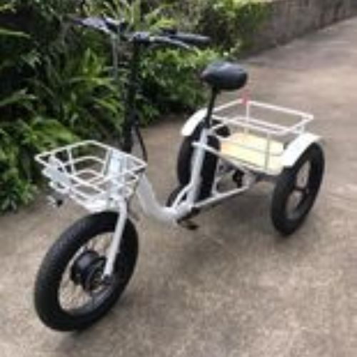 Used Eunorau Trike